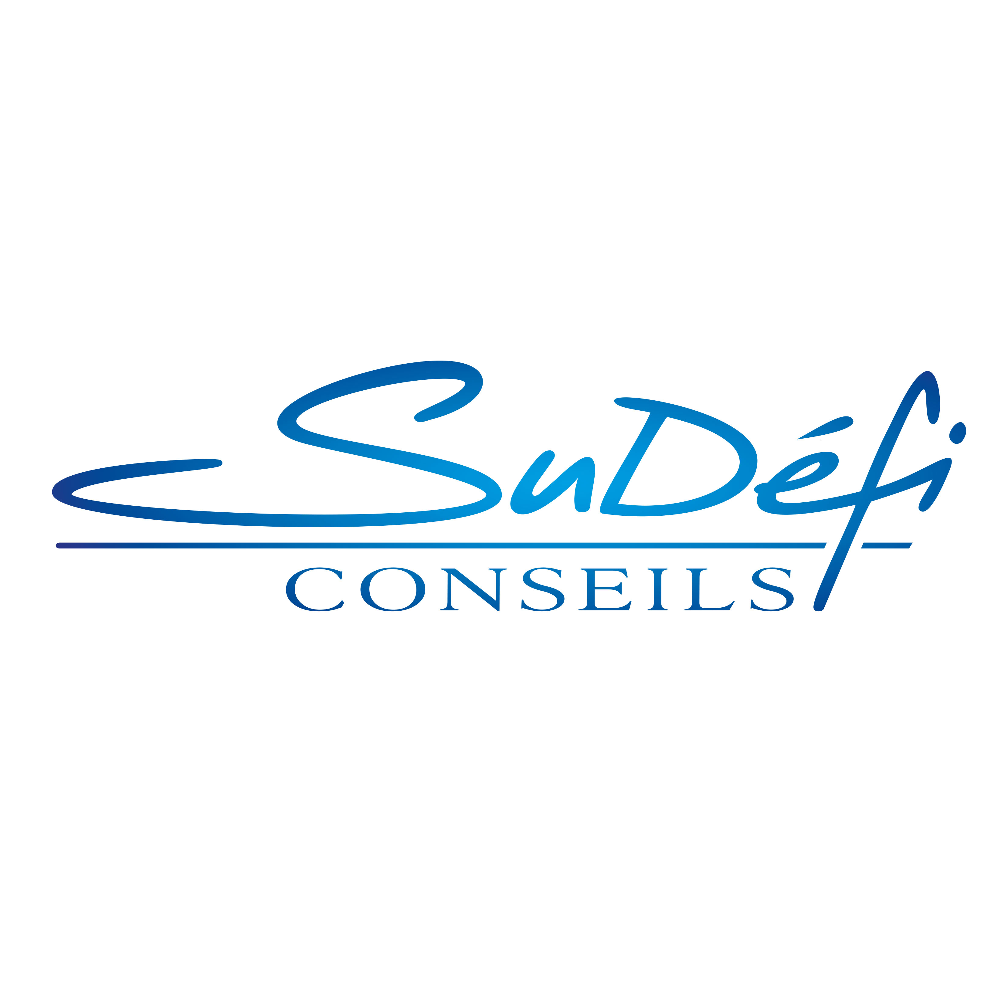 SUDEFI HOLDING – Expert-comptable logo