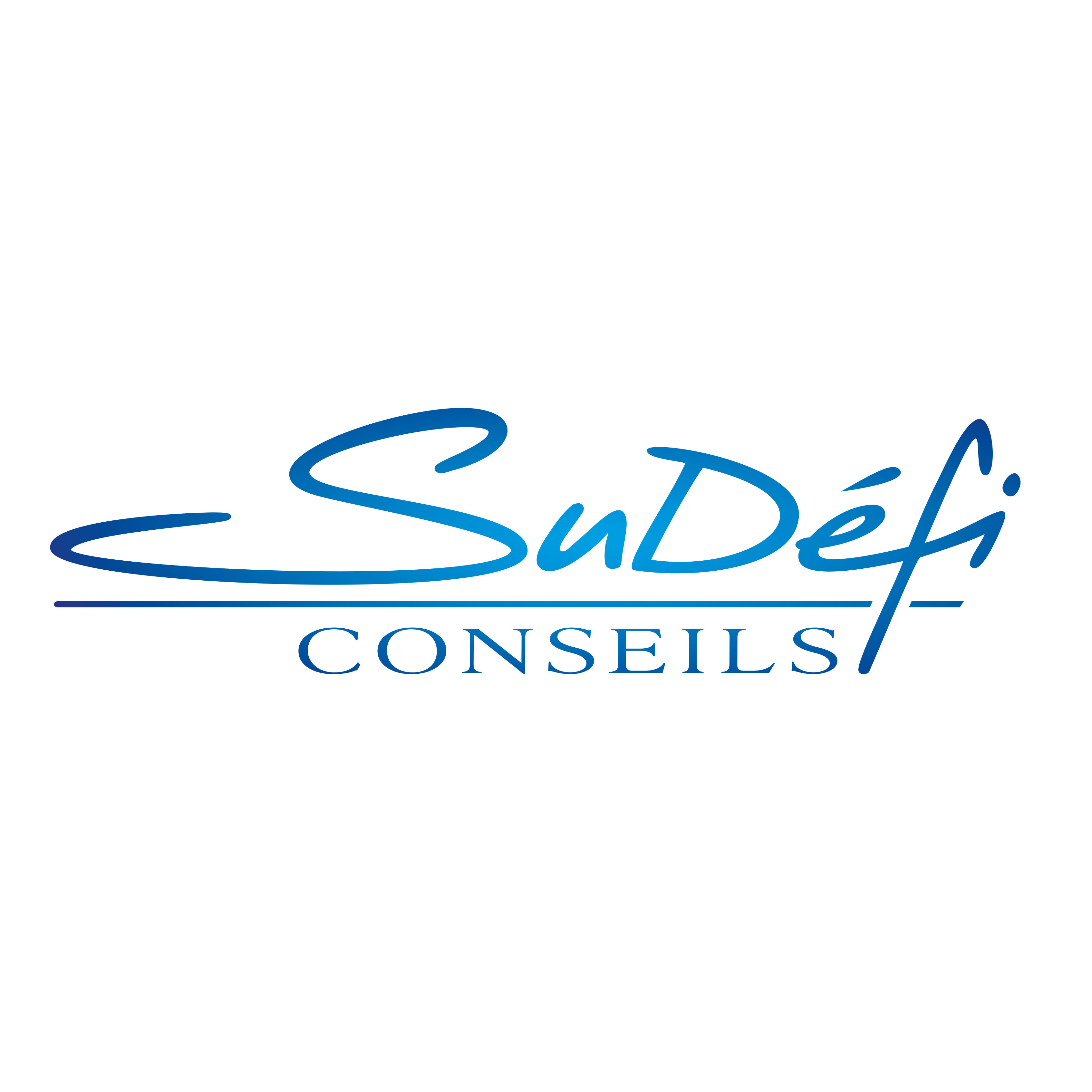 SUDEFI CONSEILS – Expert-comptable logo