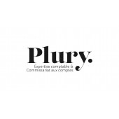 PLURY. – Expert-comptable logo